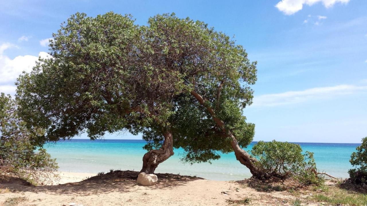 Villa Dabbanna House Near The Sea, Parking & Wifi Avola Esterno foto